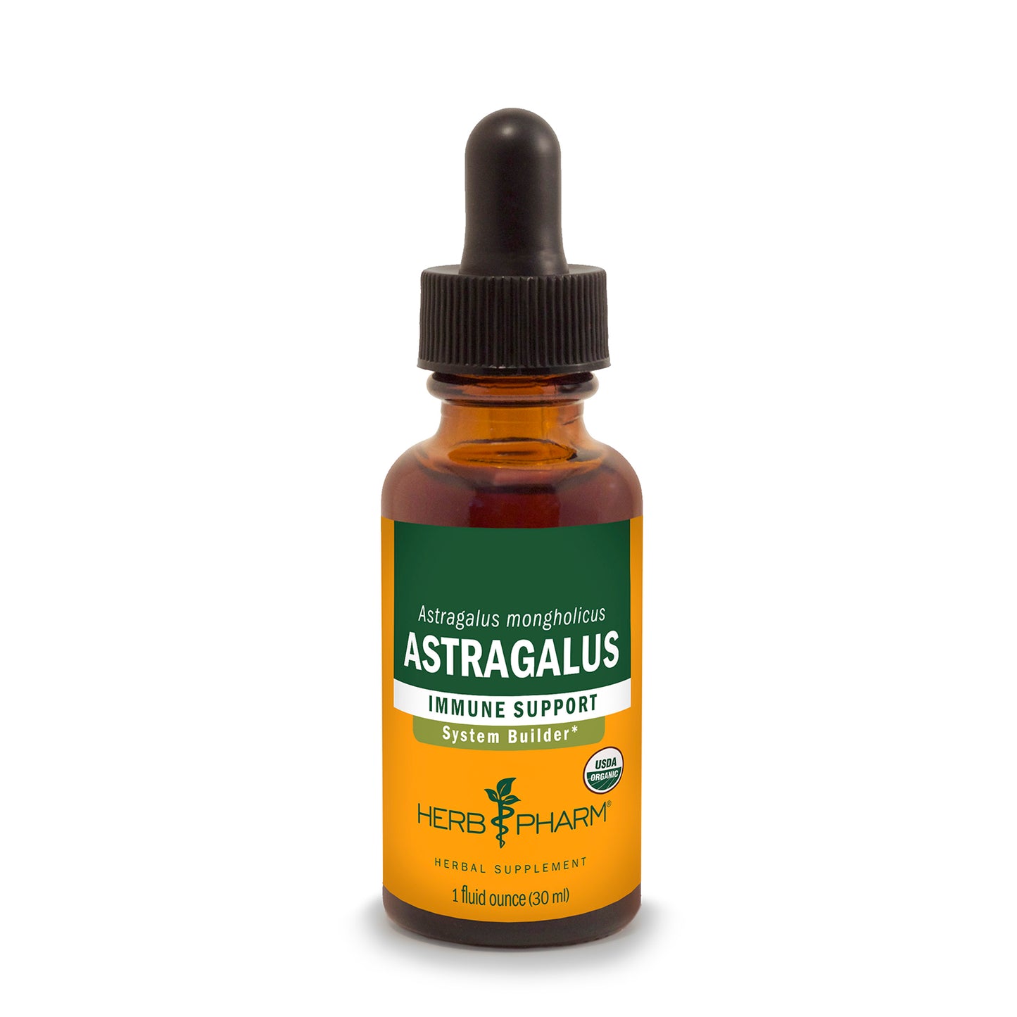 Astragalus