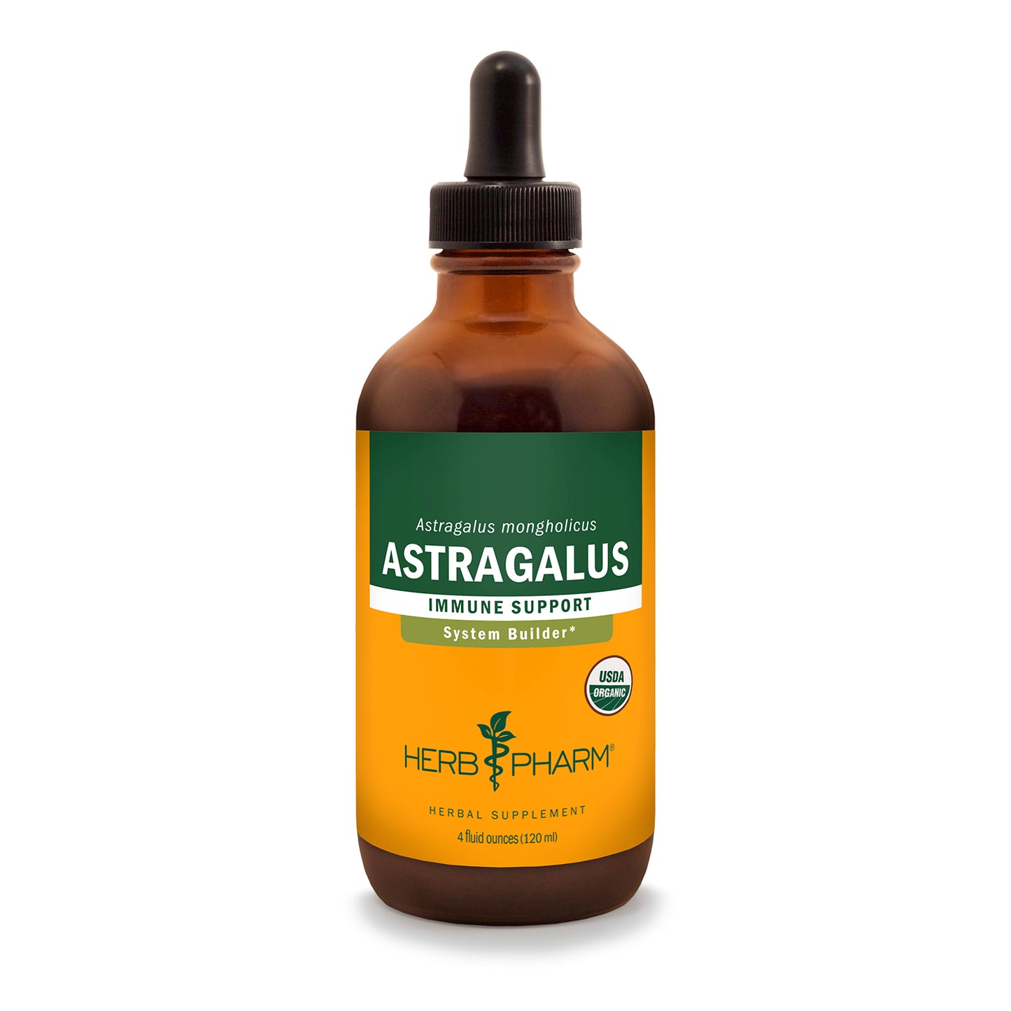 Astragalus