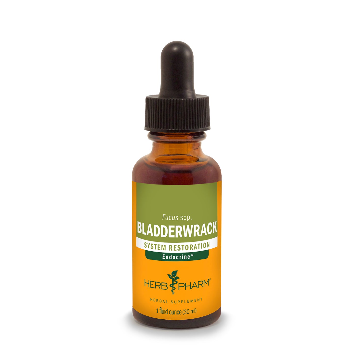 Bladderwrack