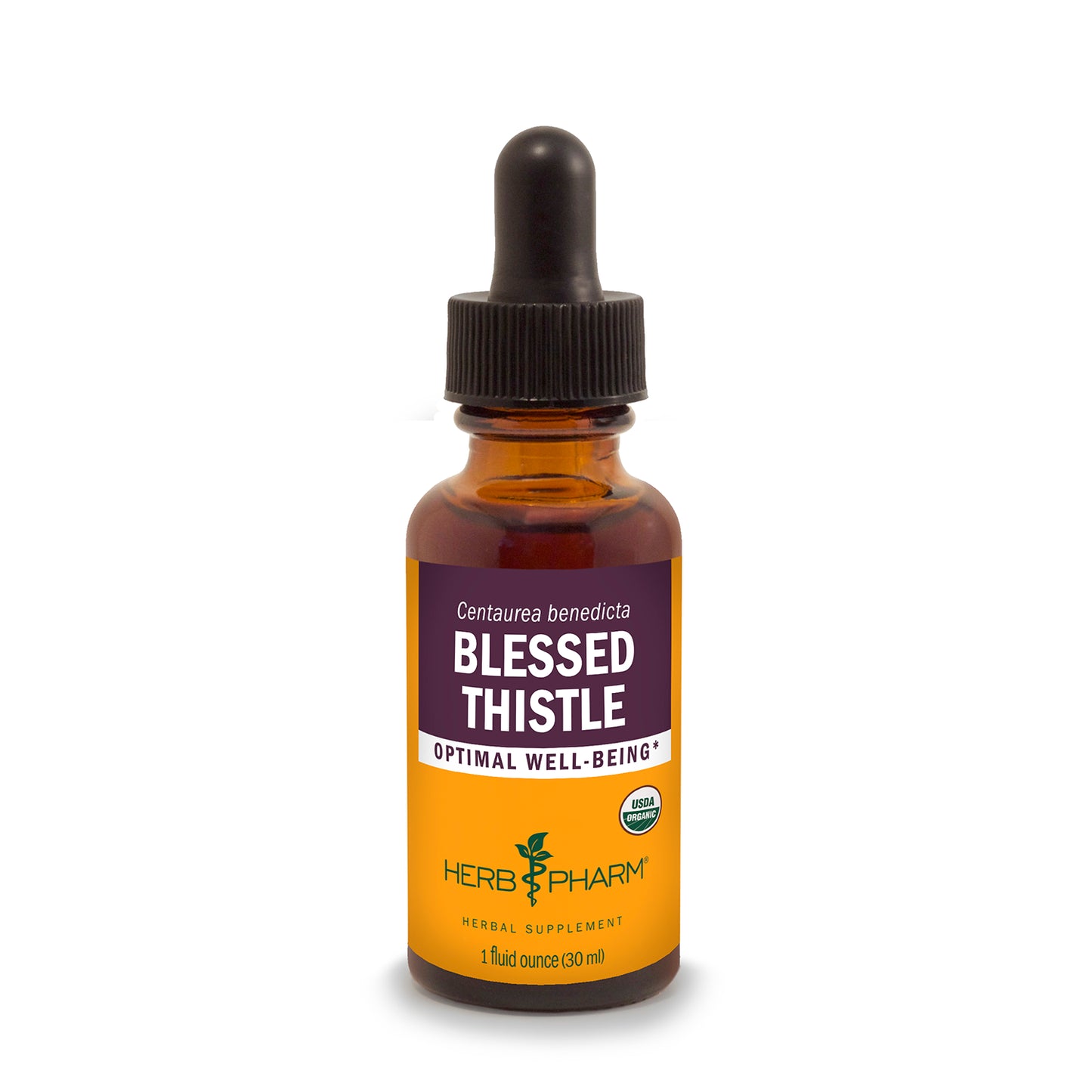Blessed Thistle