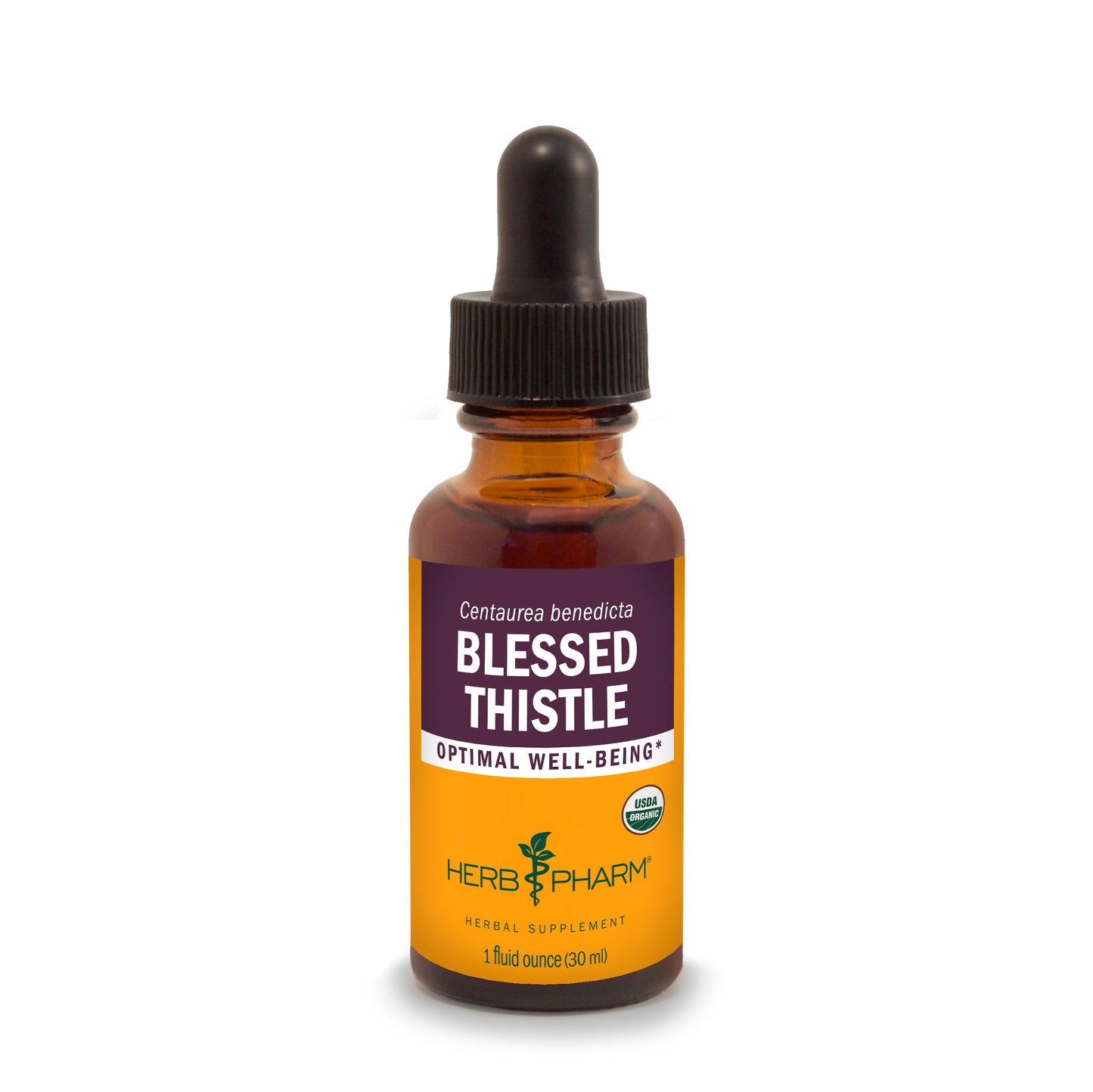 Blessed Thistle