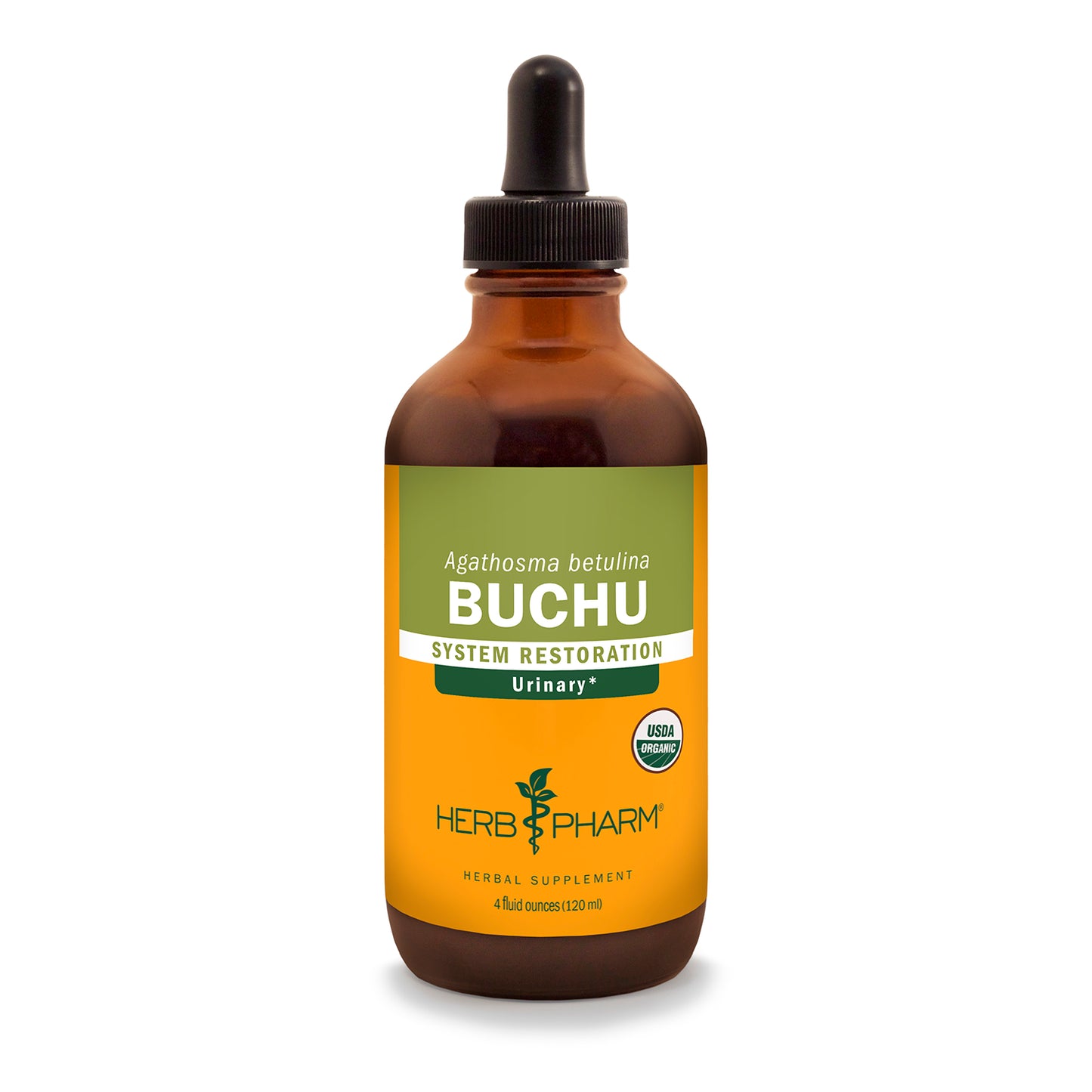 Buchu