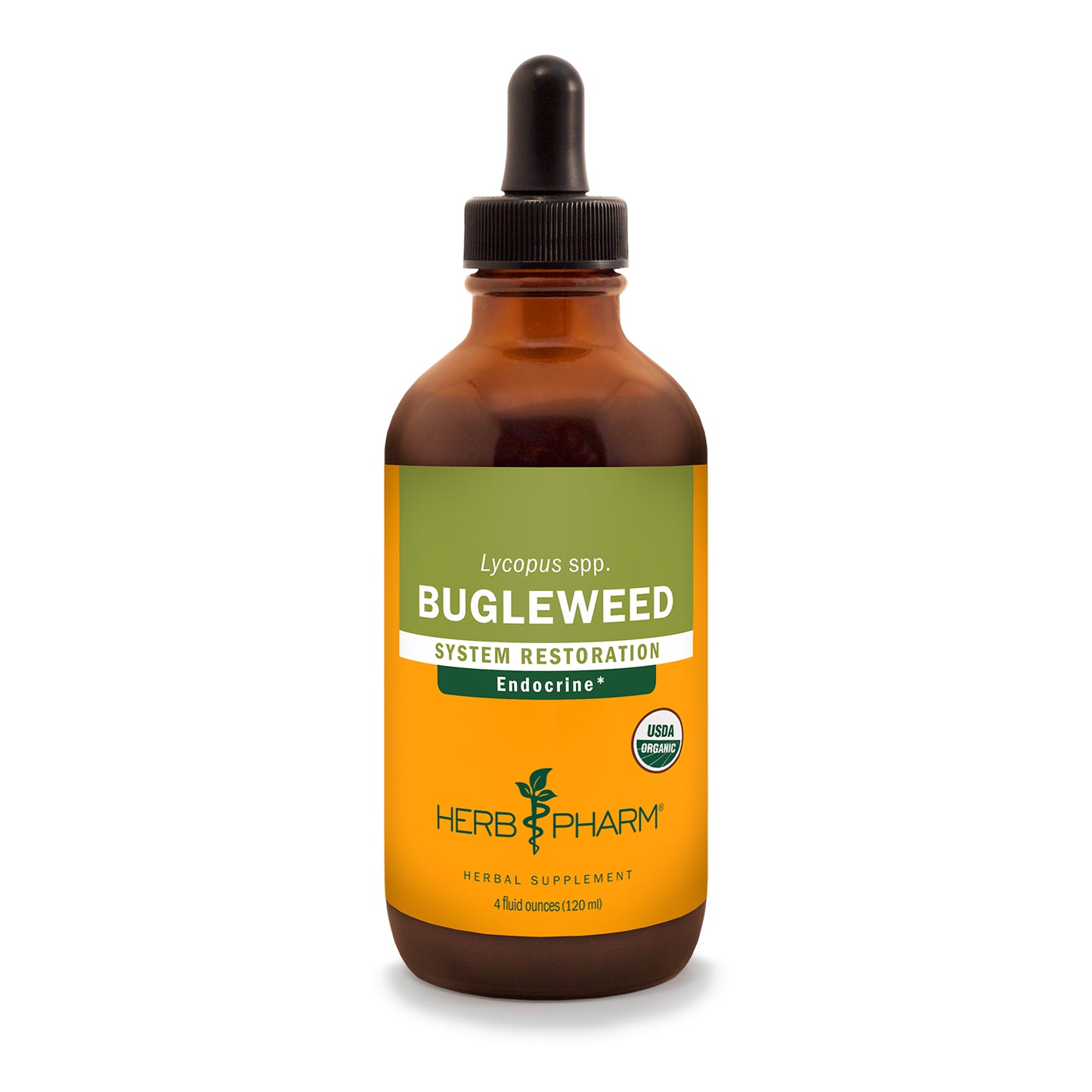 Bugleweed