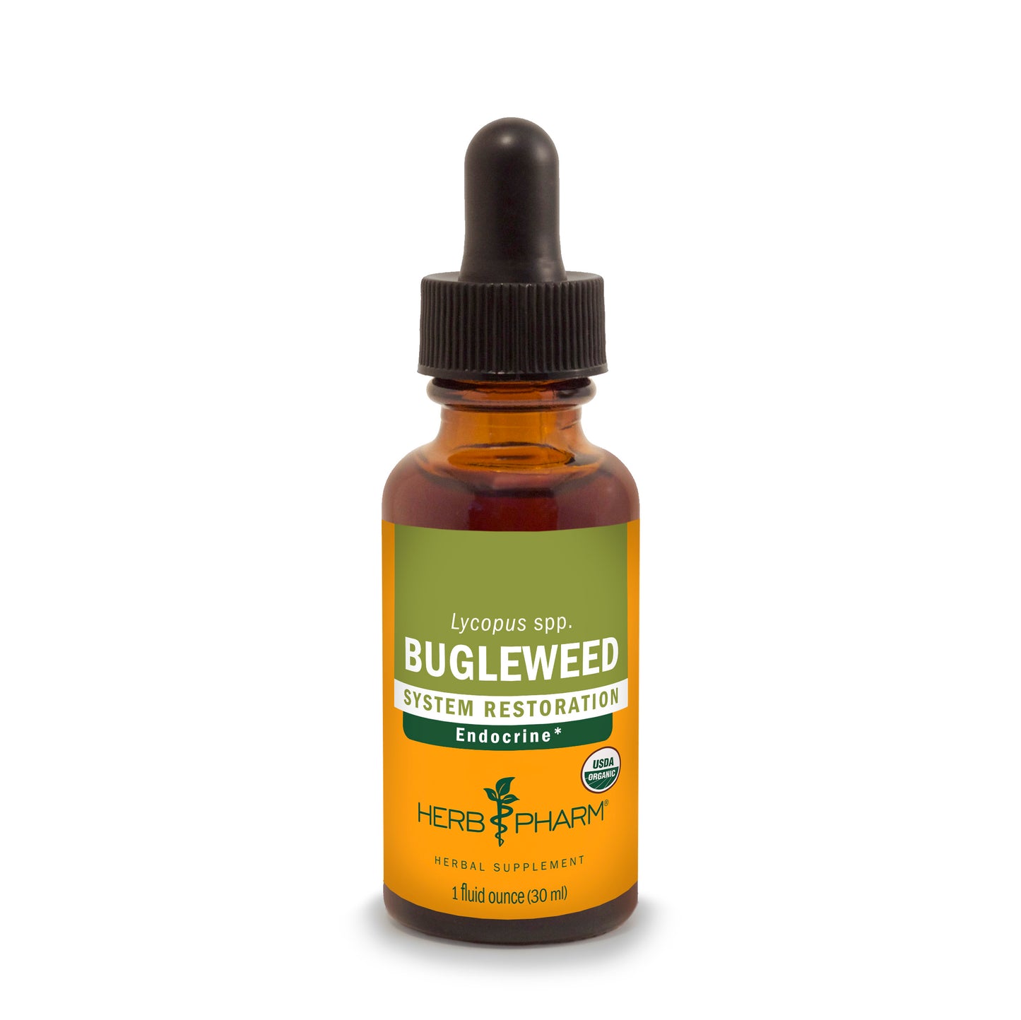 Bugleweed