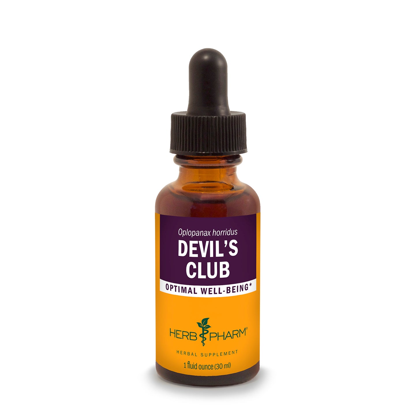 Devil's Club