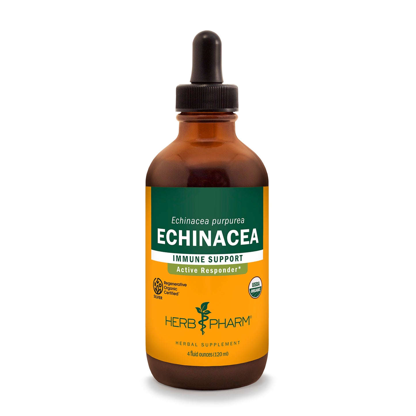 Echinacea