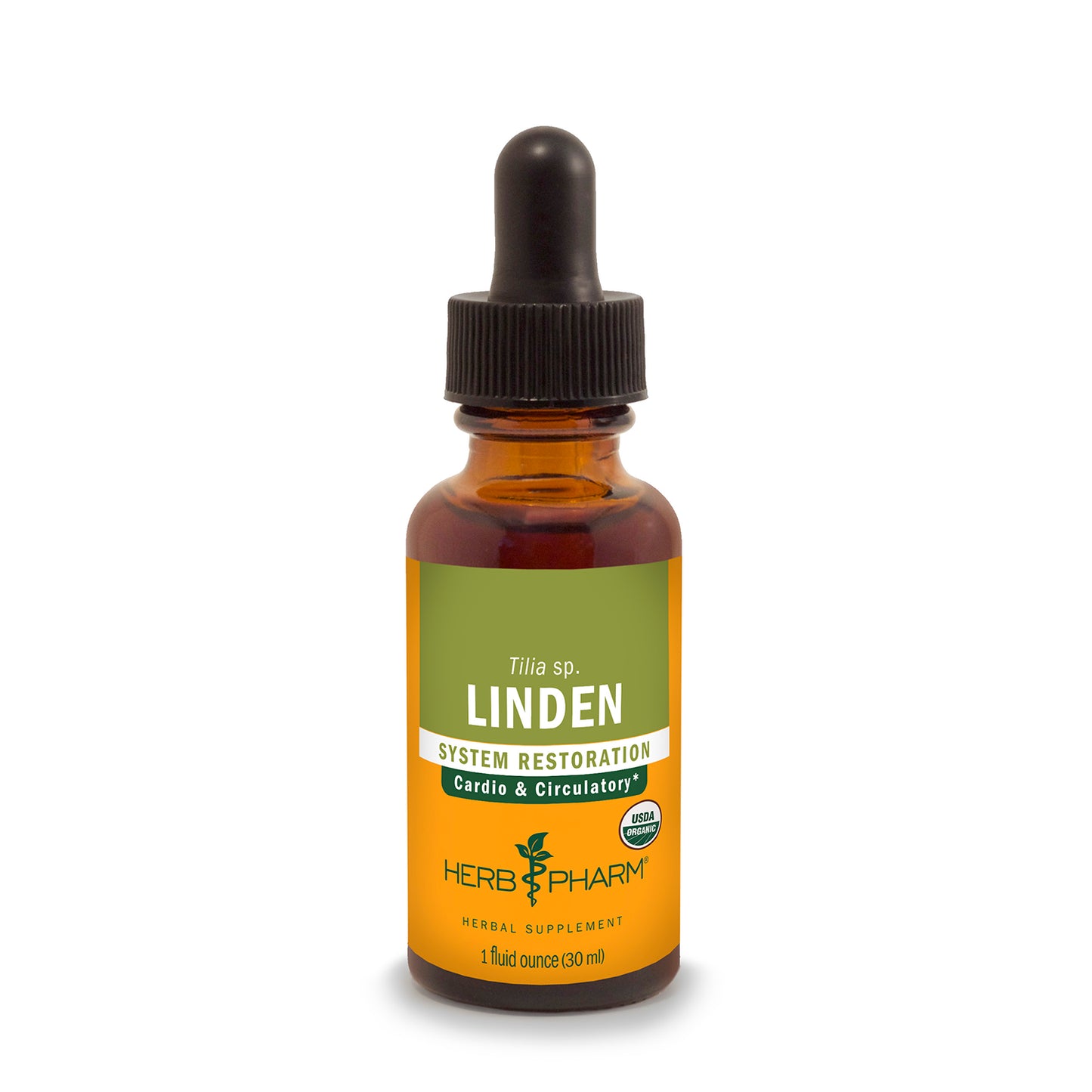 Linden