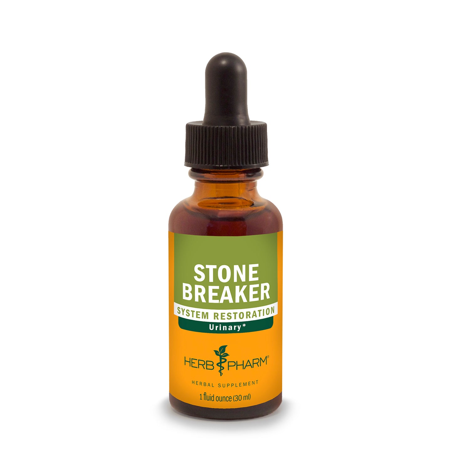chanca piedra plant seeds for sale Stone Breaker Liquid Herbal Extract