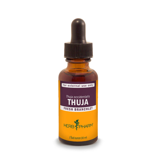 Thuja Liquid Herbal Extract