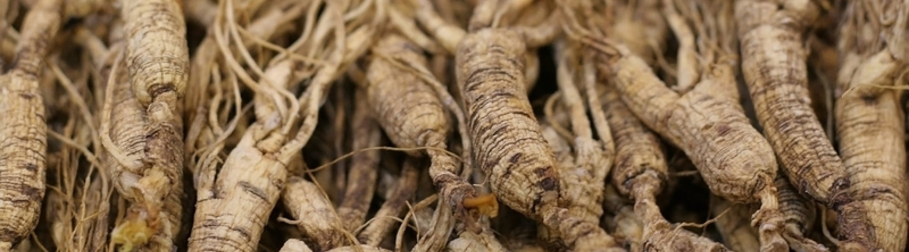 Asian Ginseng, Alcohol-Free