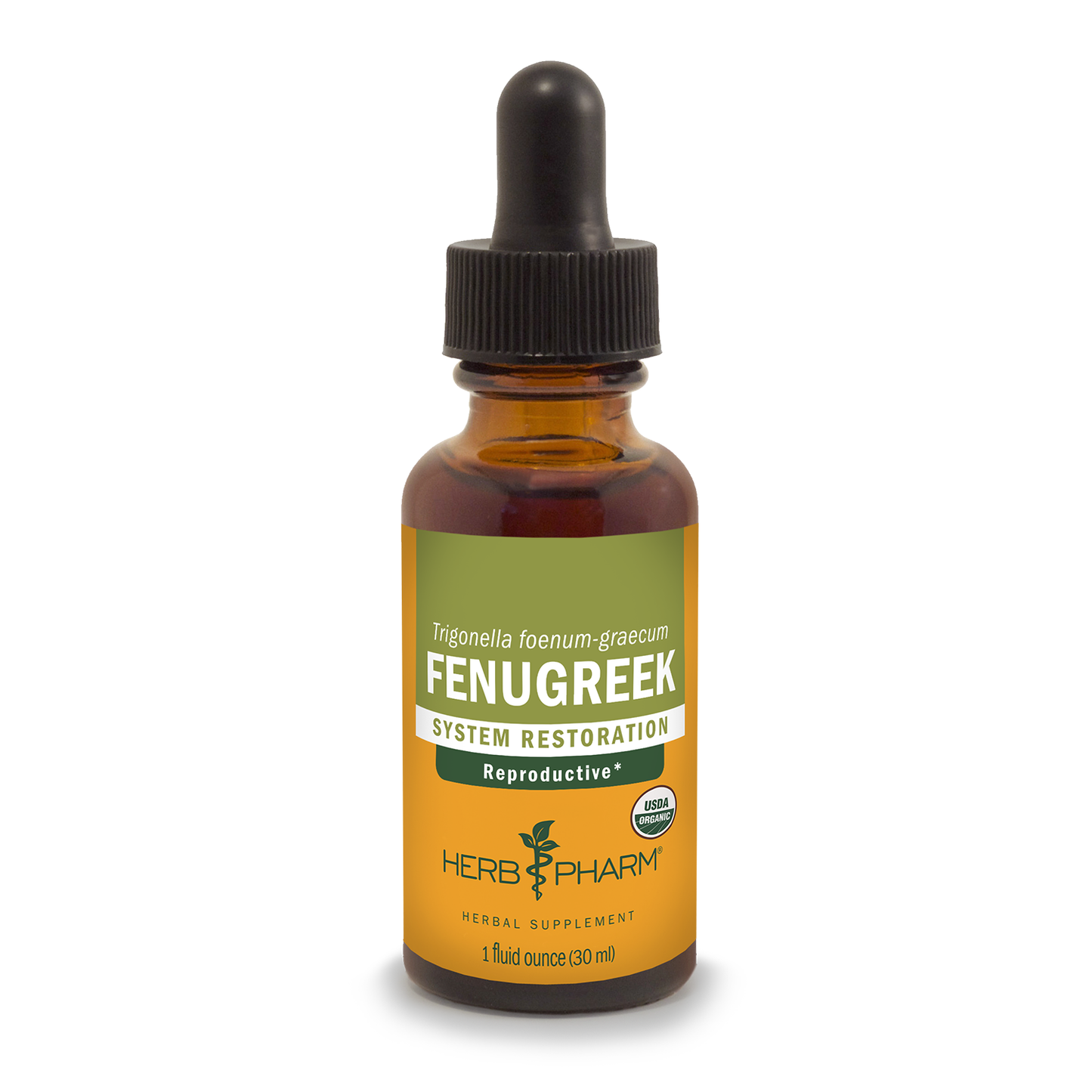 Fenugreek