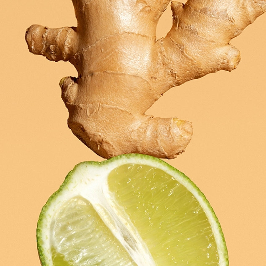 Kava: Ginger Lime