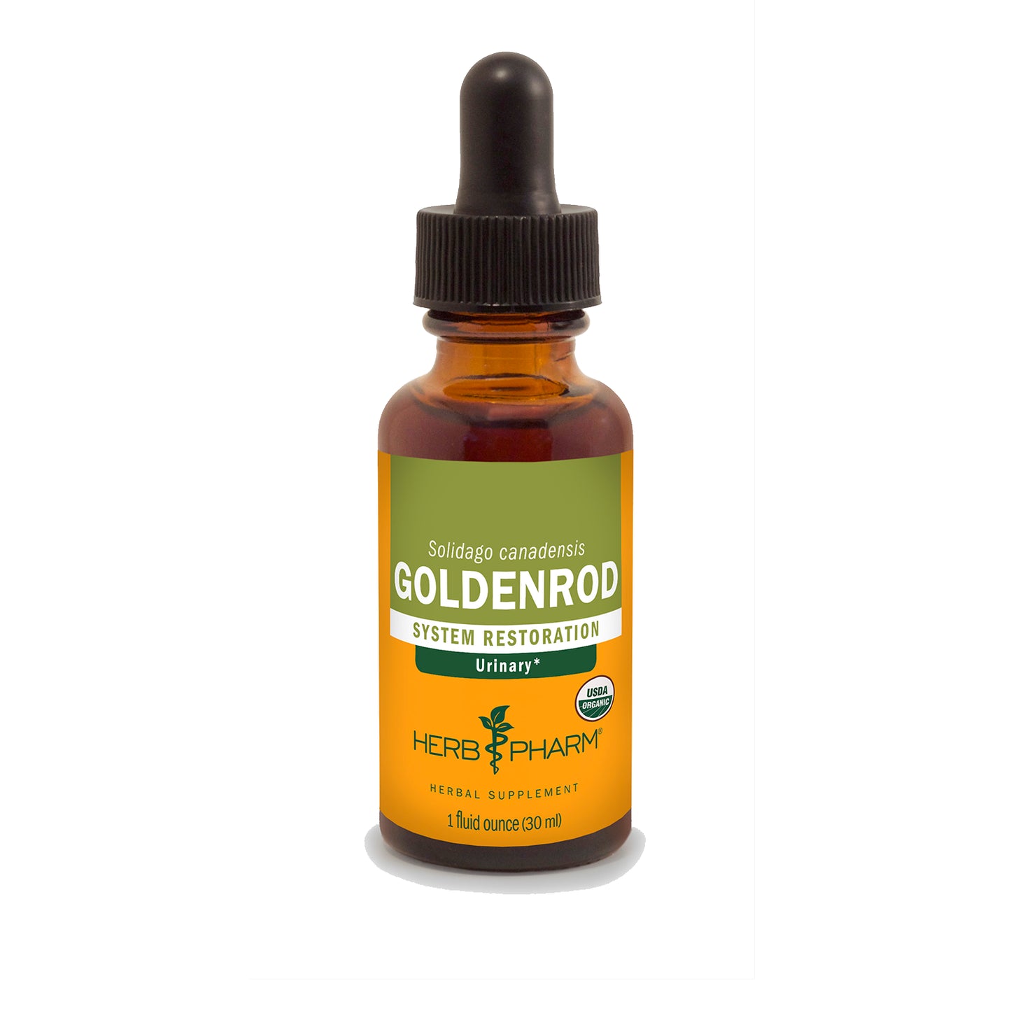 Goldenrod