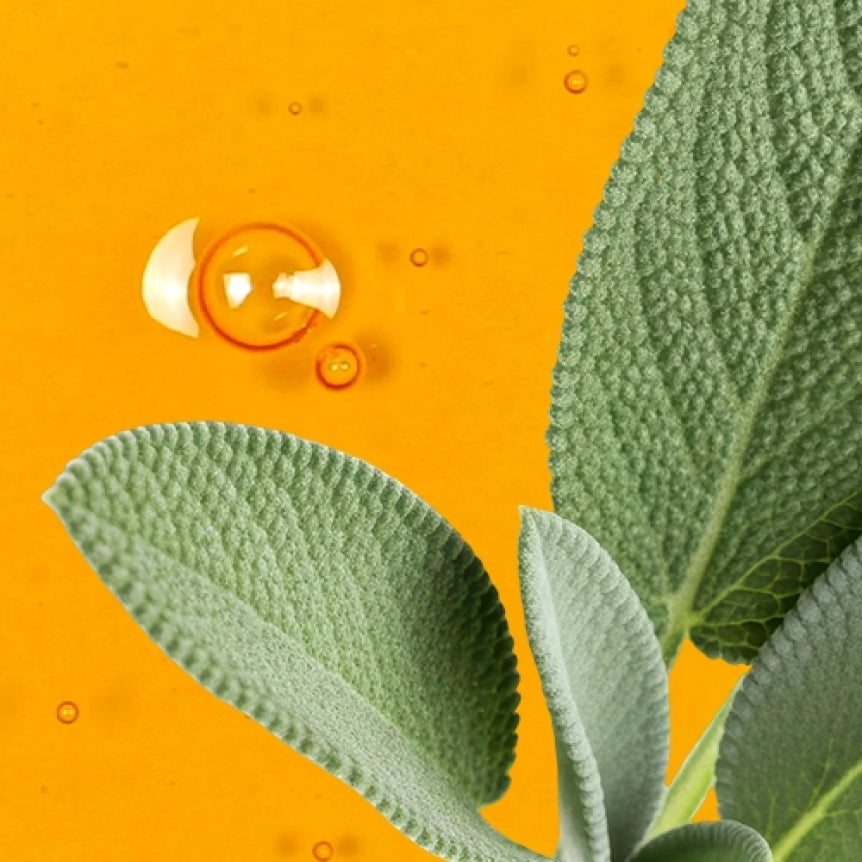Soothing Throat Spray: Honey Sage