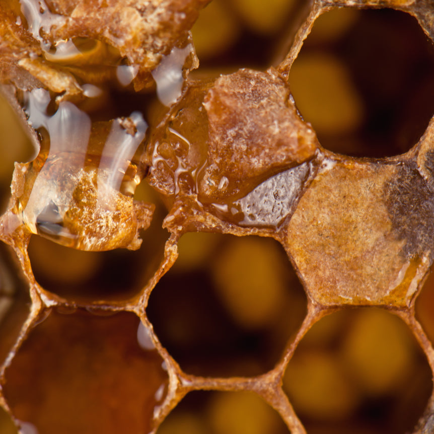 Propolis
