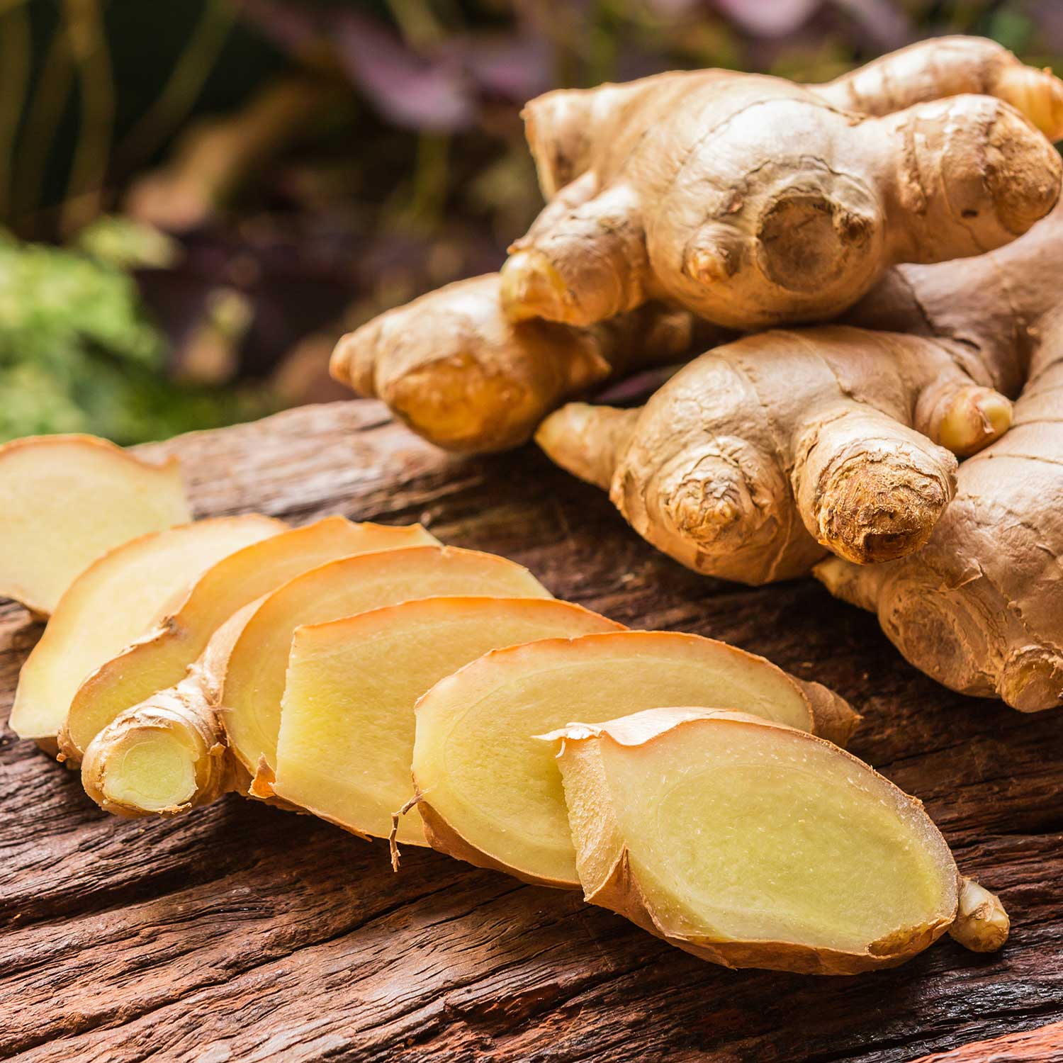 Herbs on the Go: Not Now Nausea™