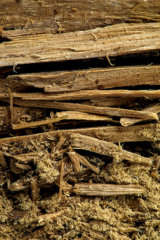 Ptychopetalum olacoides; Muira puama; potency wood; marapuama