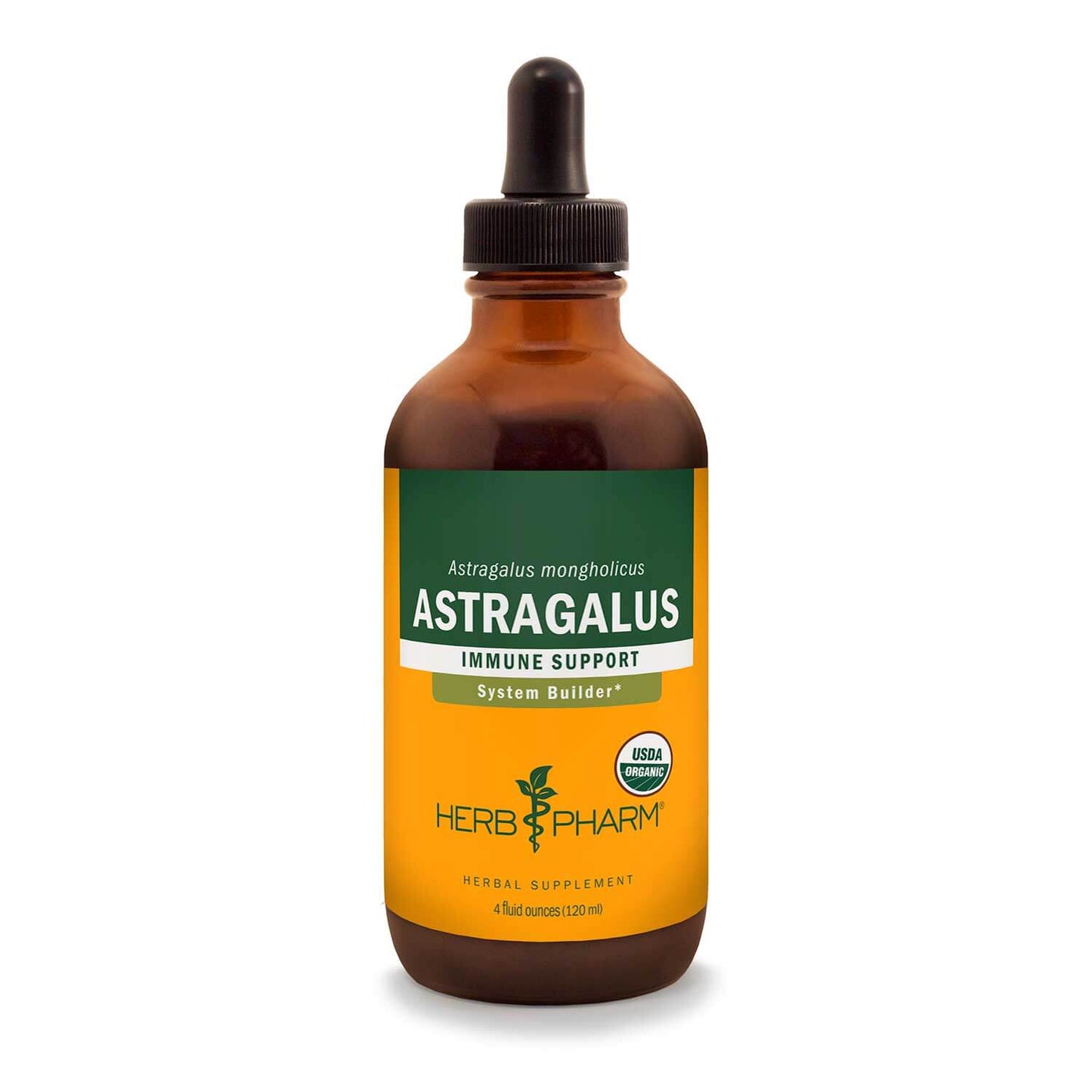 Astragalus