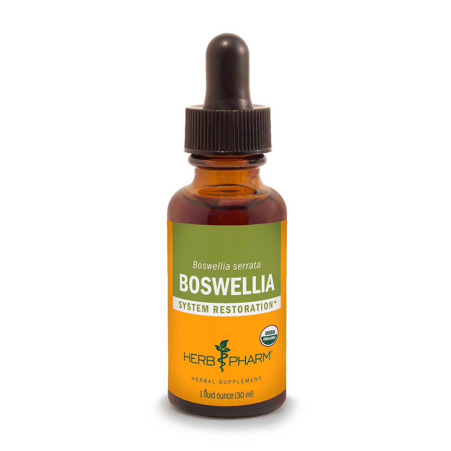 Boswellia