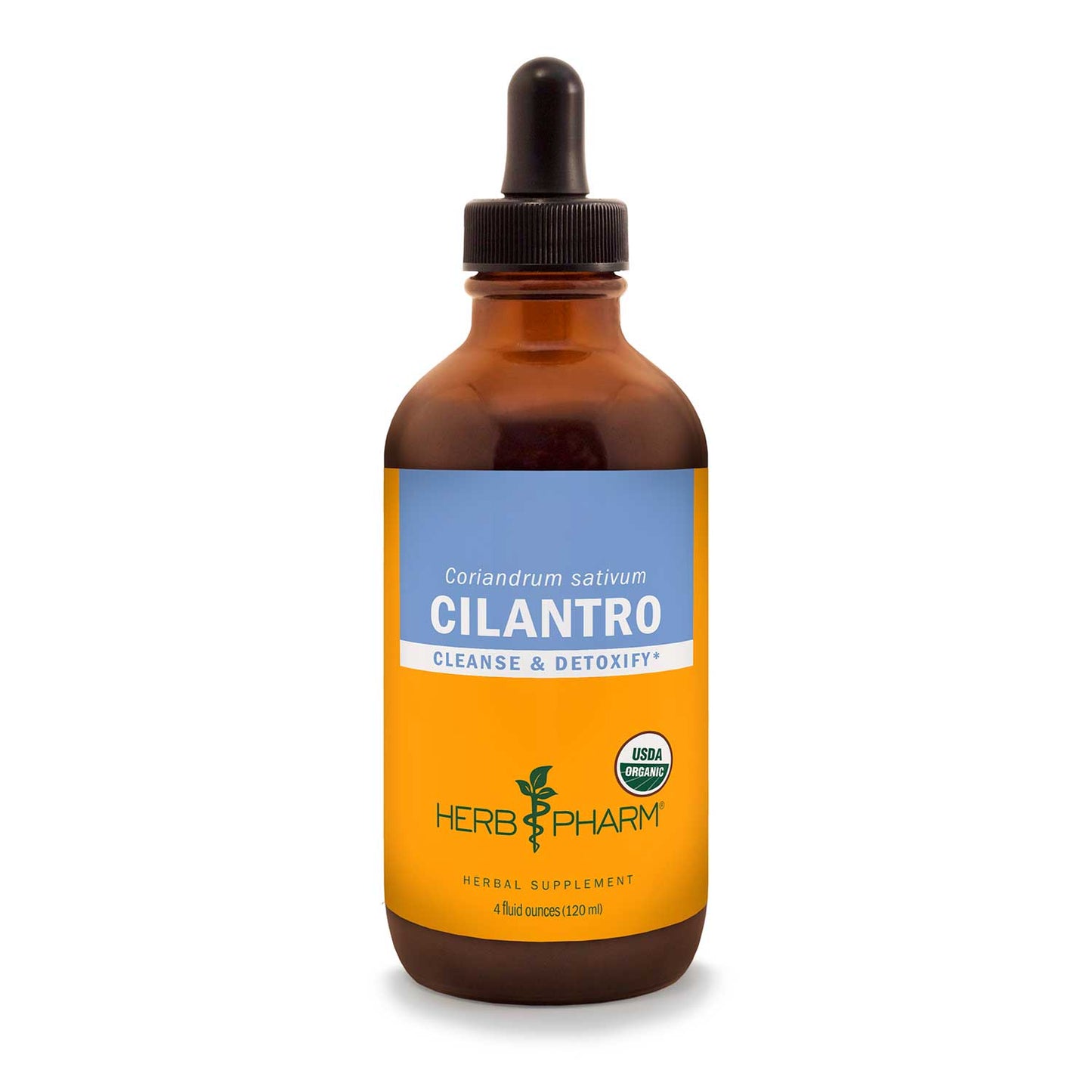 Cilantro