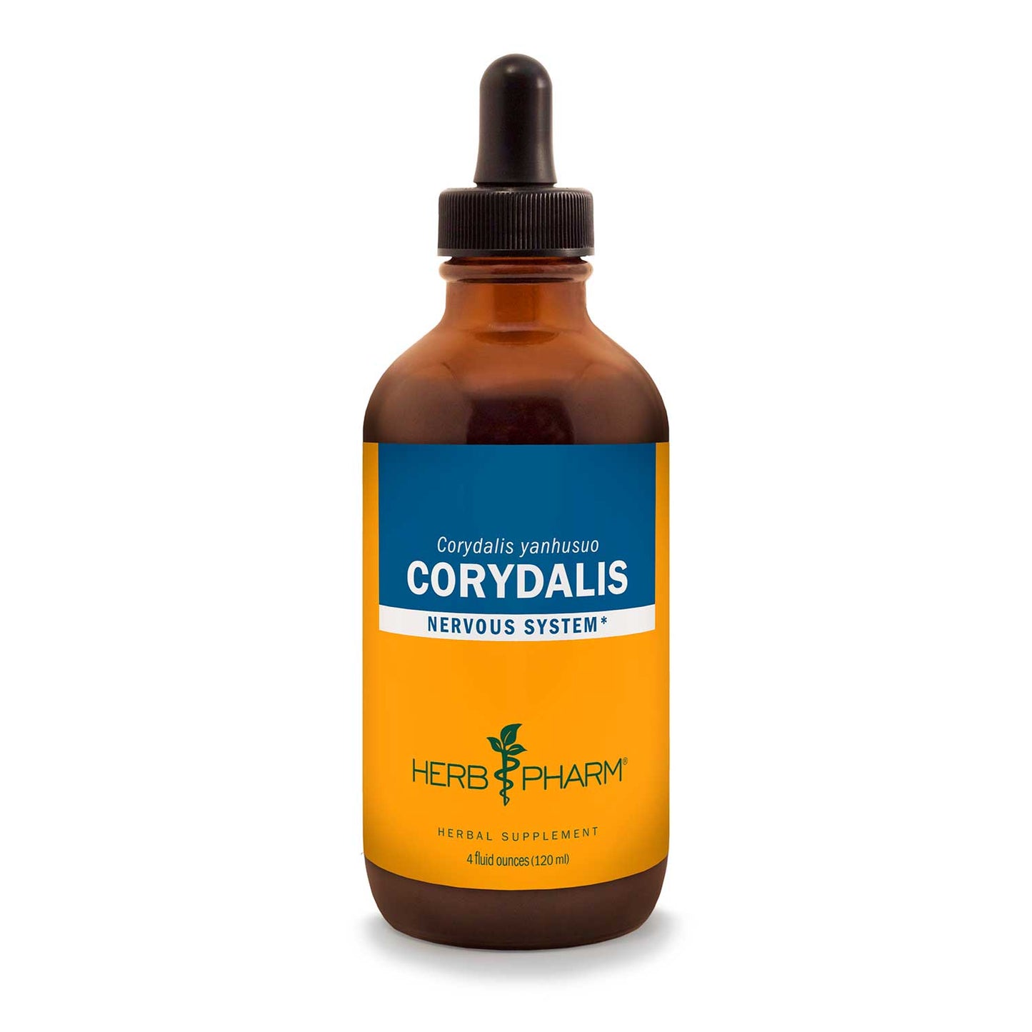 Corydalis
