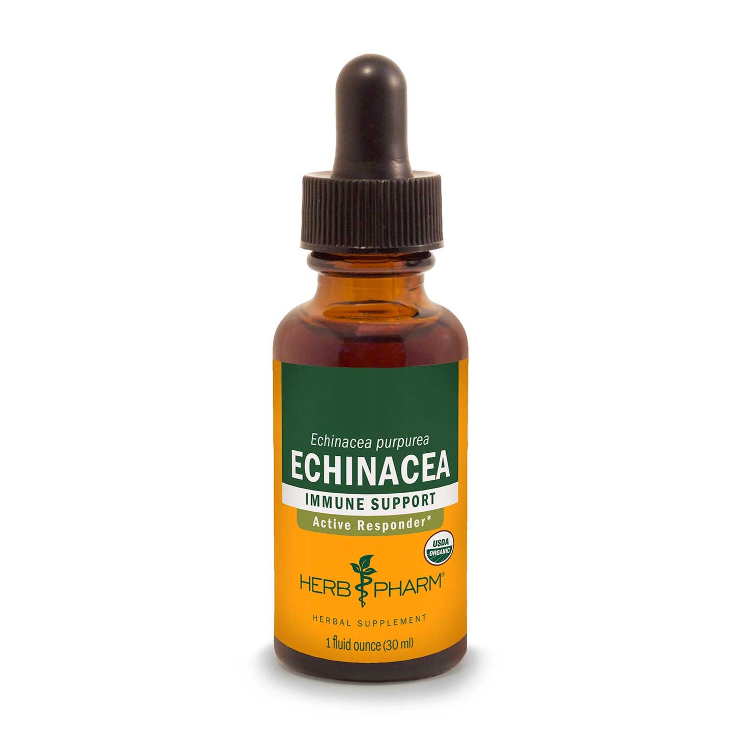 Echinacea