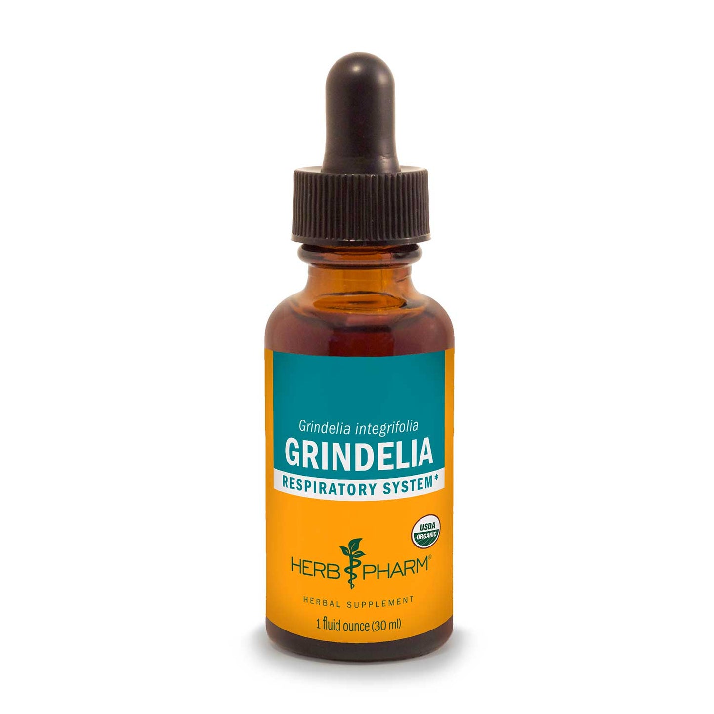 Grindelia