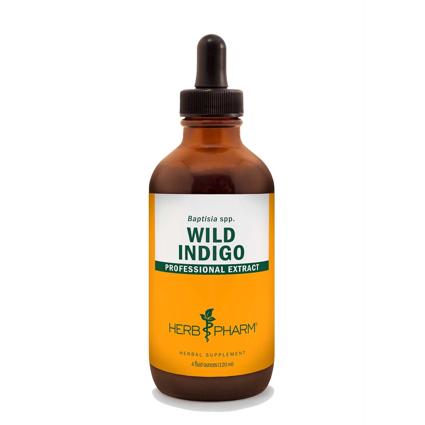 Wild Indigo